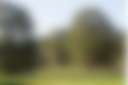 Kanimbia Cottages/Camping