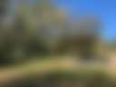 Riverside Camping on the Farm - Photo 2