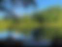 Lakefront get away - Photo 2