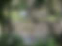 CANUNGRA VALLEY GETAWAY - Photo 2