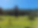 Max's Farm