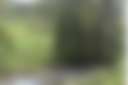 Glenroy Camping Sp