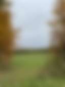 Dusty Hills Farm - Photo 2