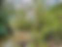 Green Dale - Photo 2
