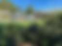 Garden Space - Bundanoon - Photo 3