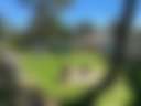 Garden Space - Bundanoon - Photo 2