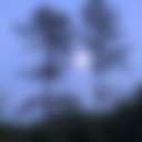 North FL Equestrian Short Stay - Photo 3