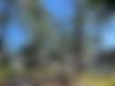 Fort Myers Eco Park - Photo 2