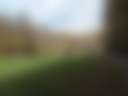 Tawney Farm's Wild & Woolly