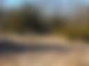 Sky Valley Acres - Photo 3