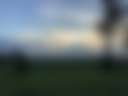 The Farm - Photo 2