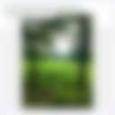 Gamba Hills Cooperstown - Photo 2