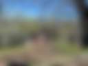 Sunrise Farm - Photo 2