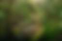 Salt Creek Meadows - Photo 2