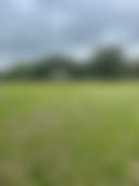 Bethany Oaks Farm