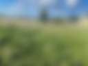 Pasture with views!