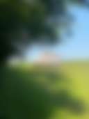 The Field at Findon