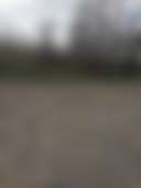 Doirie Maple Farm - Photo 2