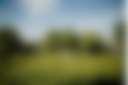 Serenity Fields Farm - Photo 2