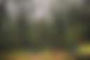 Cape Cod Horse Farm - Photo 3