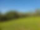 Bullwick Farms - Photo 2