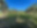 Ballantyne's Strawberry Farm - Photo 3