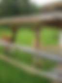 The Bohemian Farm - Photo 2
