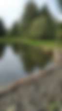 Williams Park campground - Photo 2