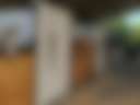 Lizardsniffer - Photo 2