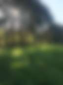 Cypress Pasture - pitch your tent. Early Spring
