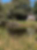 Sutton Farm Equestrian Centre - Photo 3