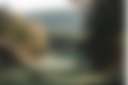 Gardenfarm - Photo 2