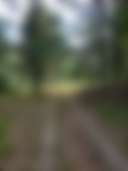 Hidden valley camp - Photo 2