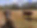 Salty Heifer Farm
