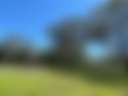 Amaroo Acres - Photo 3