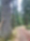 Holy Mountain - Photo 3