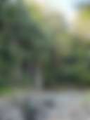Riverdell_Country - Photo 2