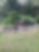 Bellbird Lodge - Photo 2