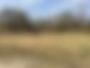 Hidden Acres - Photo 3