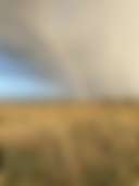 Field Phillip Island - Main photo