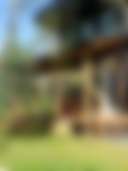 Pet Friendly-The Magic Forest
