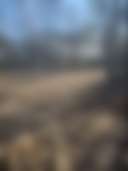 Sea Island Serenity Trails - Photo 3
