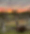 Dairy@Goomeri - Photo 2