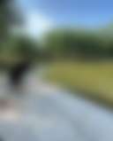 Texas Sage RV Park