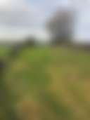 Collierhall Farm