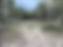 Hill Country Coyote Trails