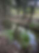 'The Three Mile Creek' Camping - Photo 2