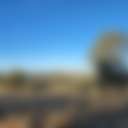 Farm Views
