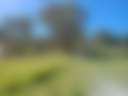 Gungarra Gardens - Scott's Corner - Photo 2