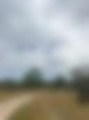 Lyra View - Photo 3